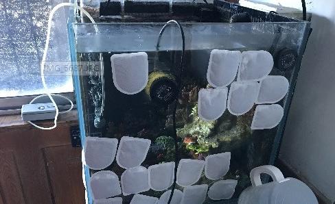 底滤海缸停电怎么办,海缸停电了怎么办