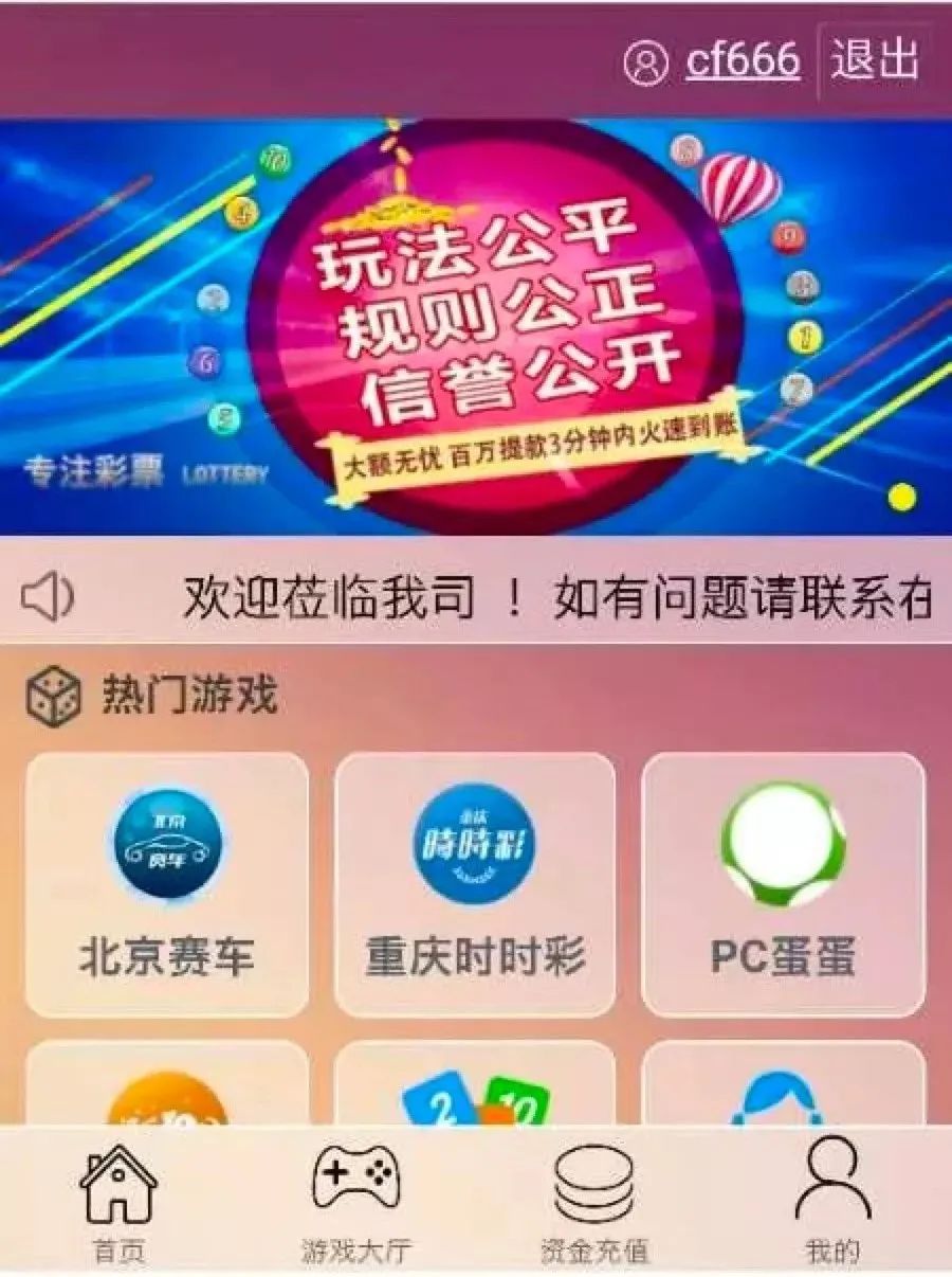 网上被骗钱的案例,被骗80万诈骗为何屡诈屡赚