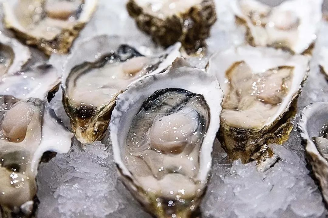 吃生蚝引起的腹泻怎么治,吃生蚝前吃什么防止拉肚子