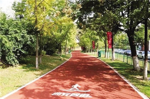 一个公园需要具备哪些功能,一个公园带来无限生机