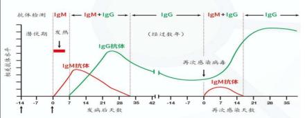 igm和igg的检测价格,igm与igg都怎么检测