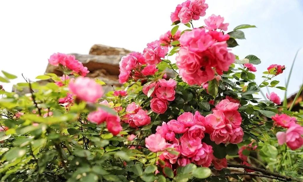 三里畈温泉度假村游玩,三里畈温泉二日游攻略