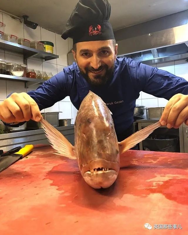 娣辨捣鎬奔缇庨,娣辨捣鎬奔鍒朵綔