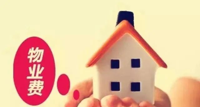 2021年山东商标知识产权案件 (山东各种知识产权案)