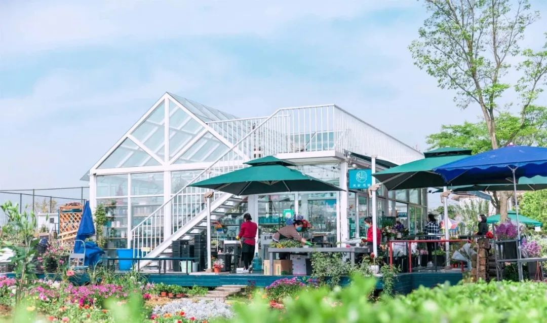 成都彭镇老茶馆,成都彭镇老茶馆打卡地点