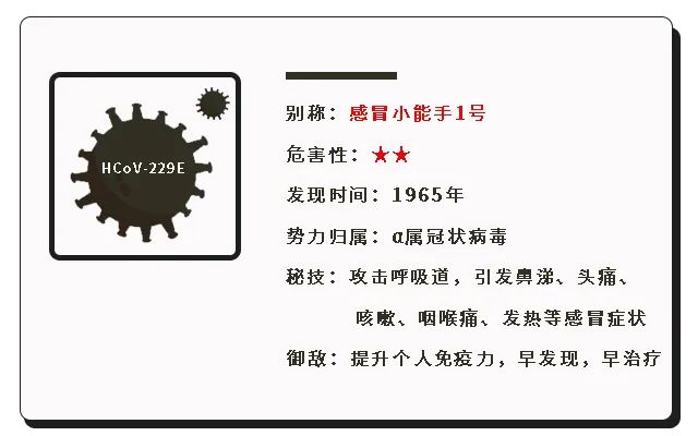 冠状病毒真相曝光,新型冠状病毒族谱