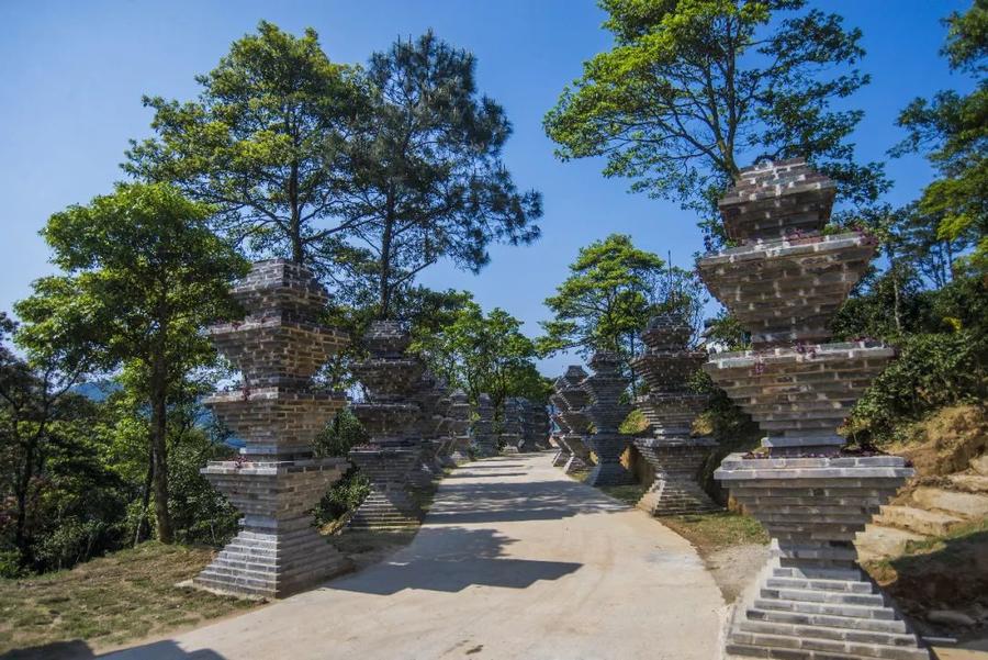 茶香禅韵入梦完整视频,世外桃源神仙度假地