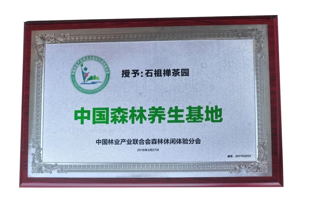 茶香禅韵入梦完整视频,世外桃源神仙度假地