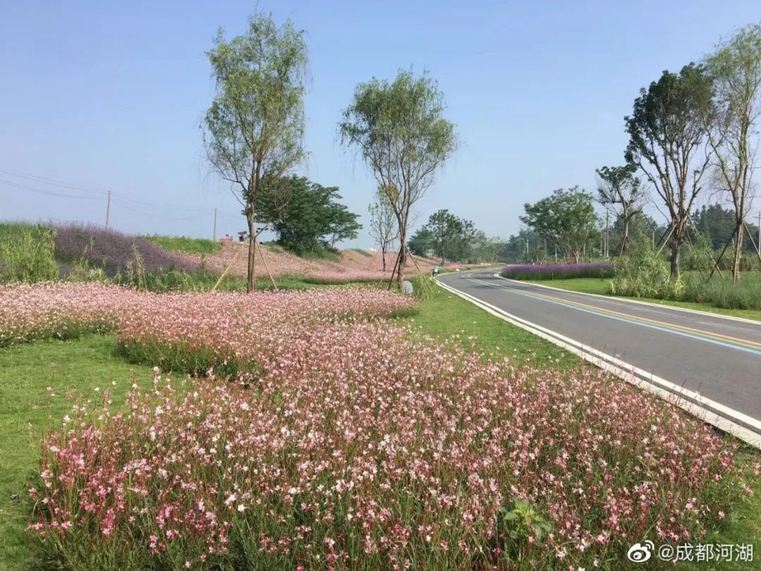 成都一日游打卡必备,成都网红打卡景点一日游