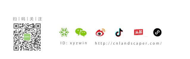 凤凰木守护的校园|深圳中学（泥岗校区）