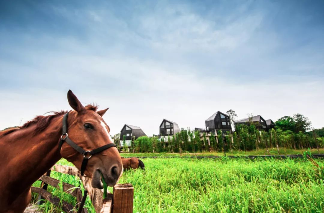 限时抢购||499元抢住浮生御度假村温泉住宿超值套餐