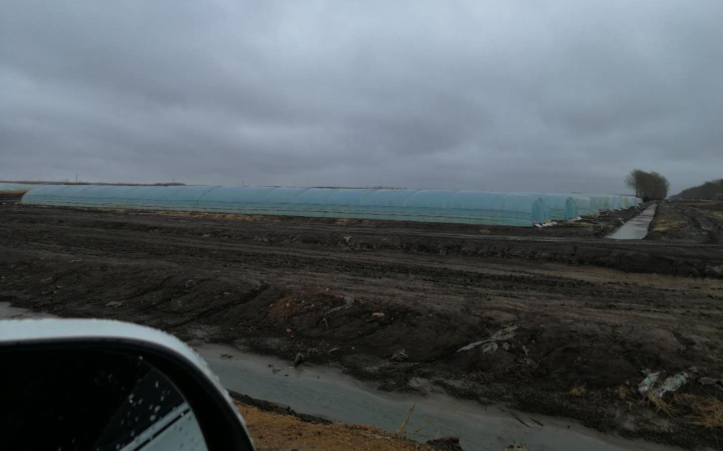 黑龙江冷空气灾害,黑龙江即将迎来寒潮