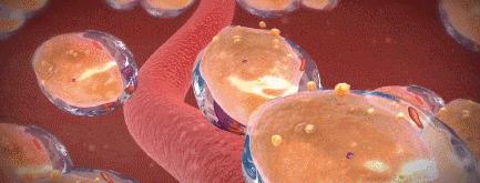 日本身体刮油神器推荐,日本超级好用的利器