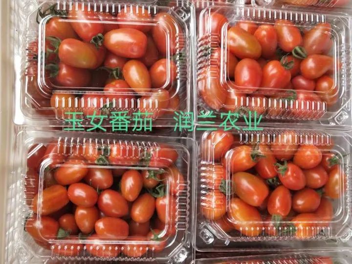 好吃到停不下来的套餐,好吃到停不下来的品牌