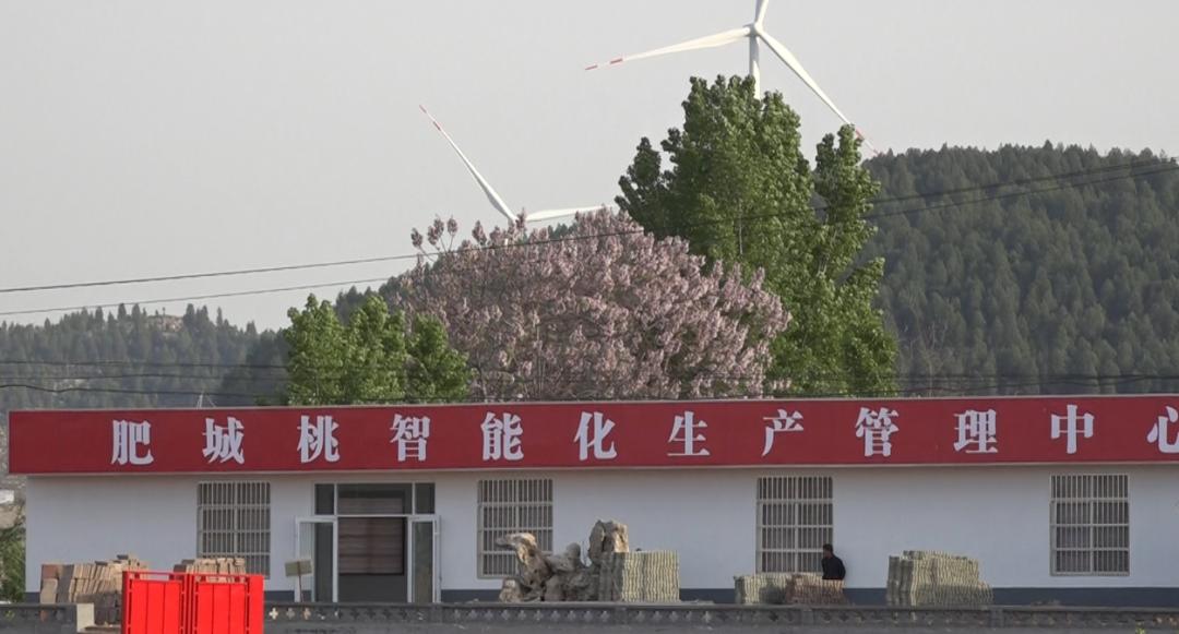 【桃园动态】中财华融国际金融集团到桃园镇实地考察调研