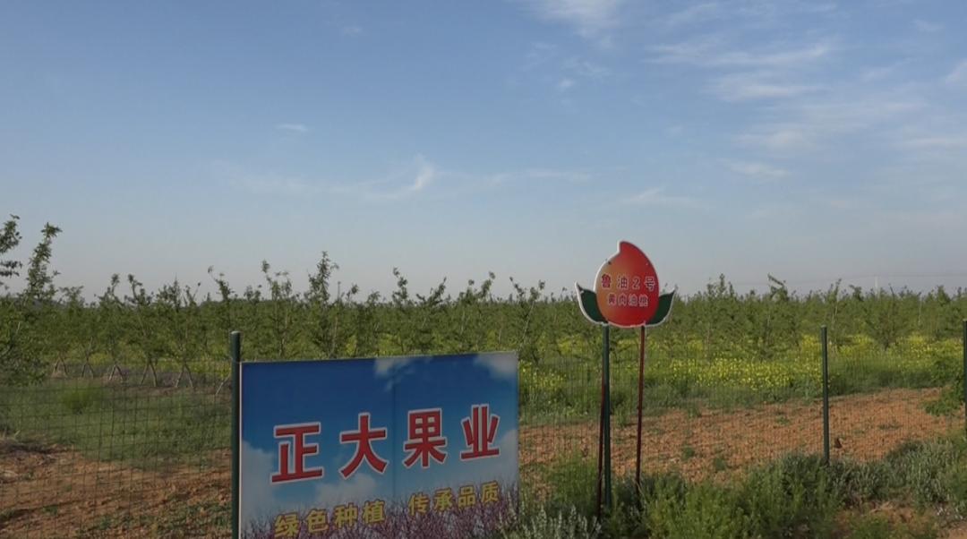 【桃园动态】中财华融国际金融集团到桃园镇实地考察调研