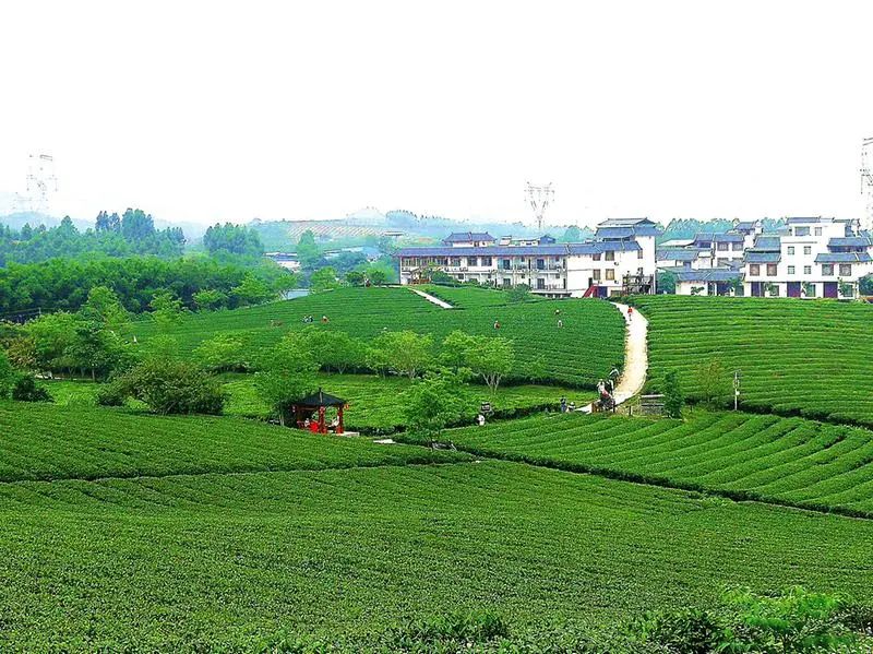 嗨森团购套餐,五一节南宁免门票景区