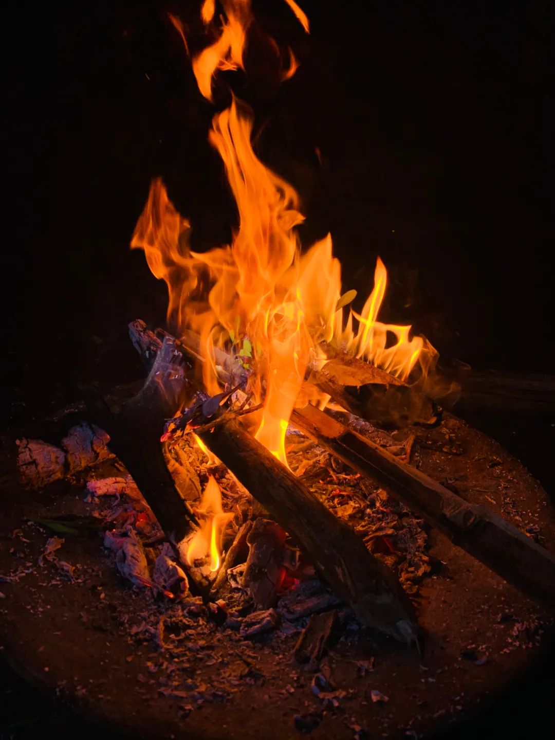 武汉在解封后第一顿热干面,武汉解封后的第一碗热干面