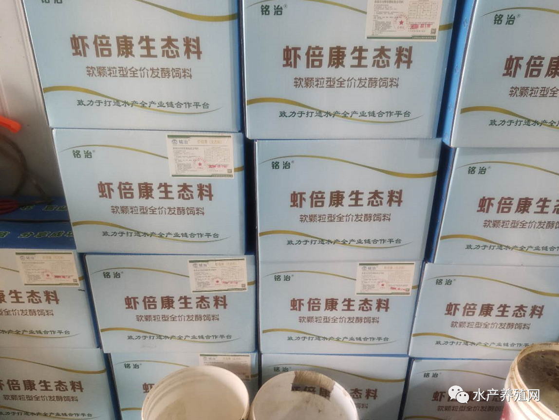 对虾养殖2020,对虾养殖技术最新