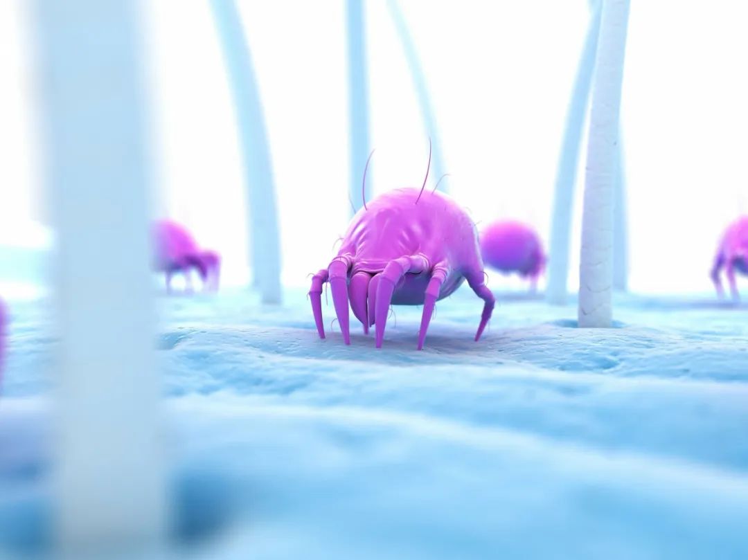 挤了颗痘痘却进了icu,挤了痘痘流了透明的水