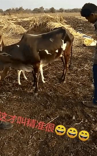 “你和异性发生过最尴尬的事!笑得我差点当场去世了…”哈哈哈哈哈哈哈哈哈