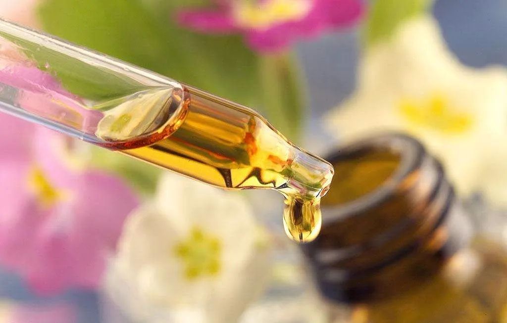 日本人真会玩的东西,日本人真会玩什么游戏