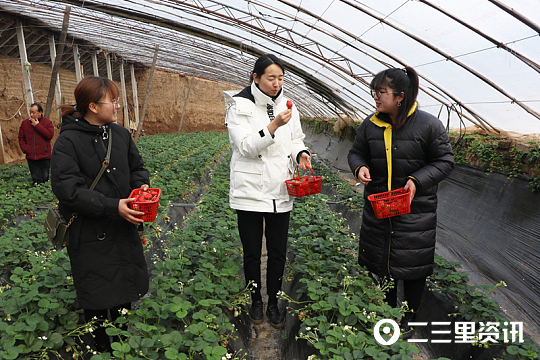印台风采,印台工业转型示范区