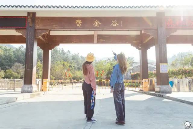 泰国泼水节旅行,旅行泰国泼水节