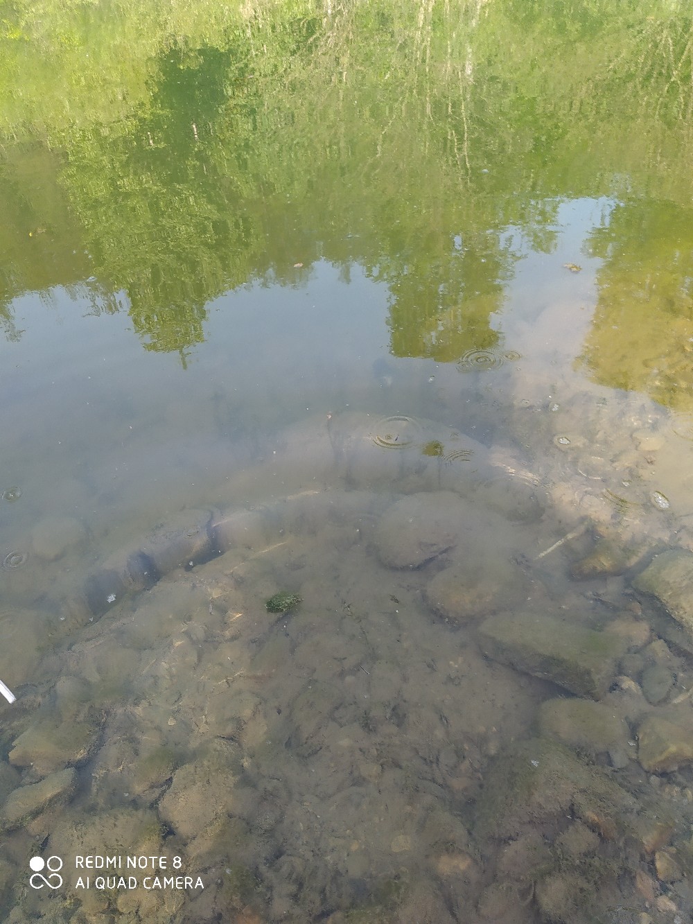 海竿串钩正确钓法视频,海竿串钩野钓最佳方法