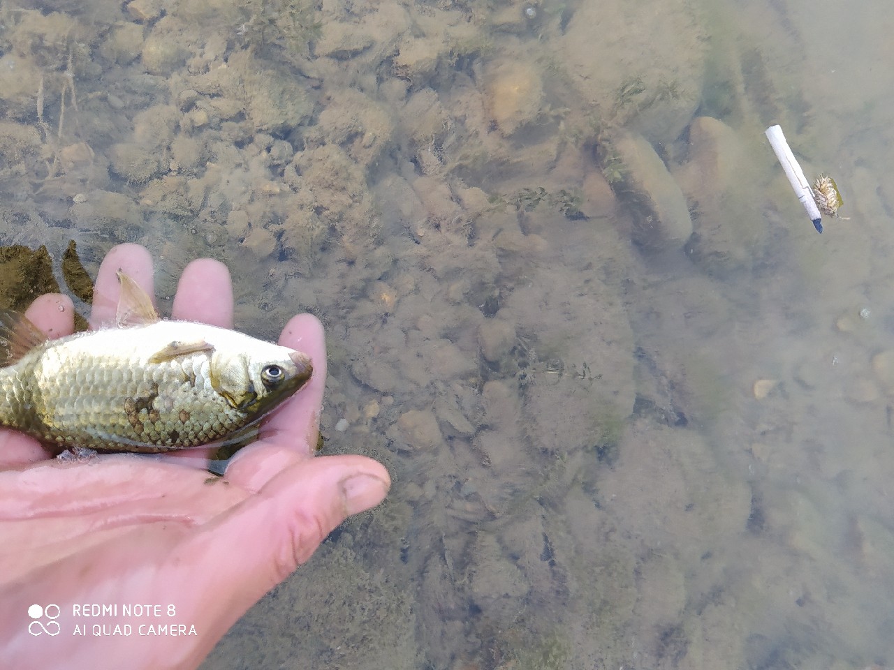 海竿串钩钓大鱼技巧和方法,海竿串钩怎么钓最灵活图解