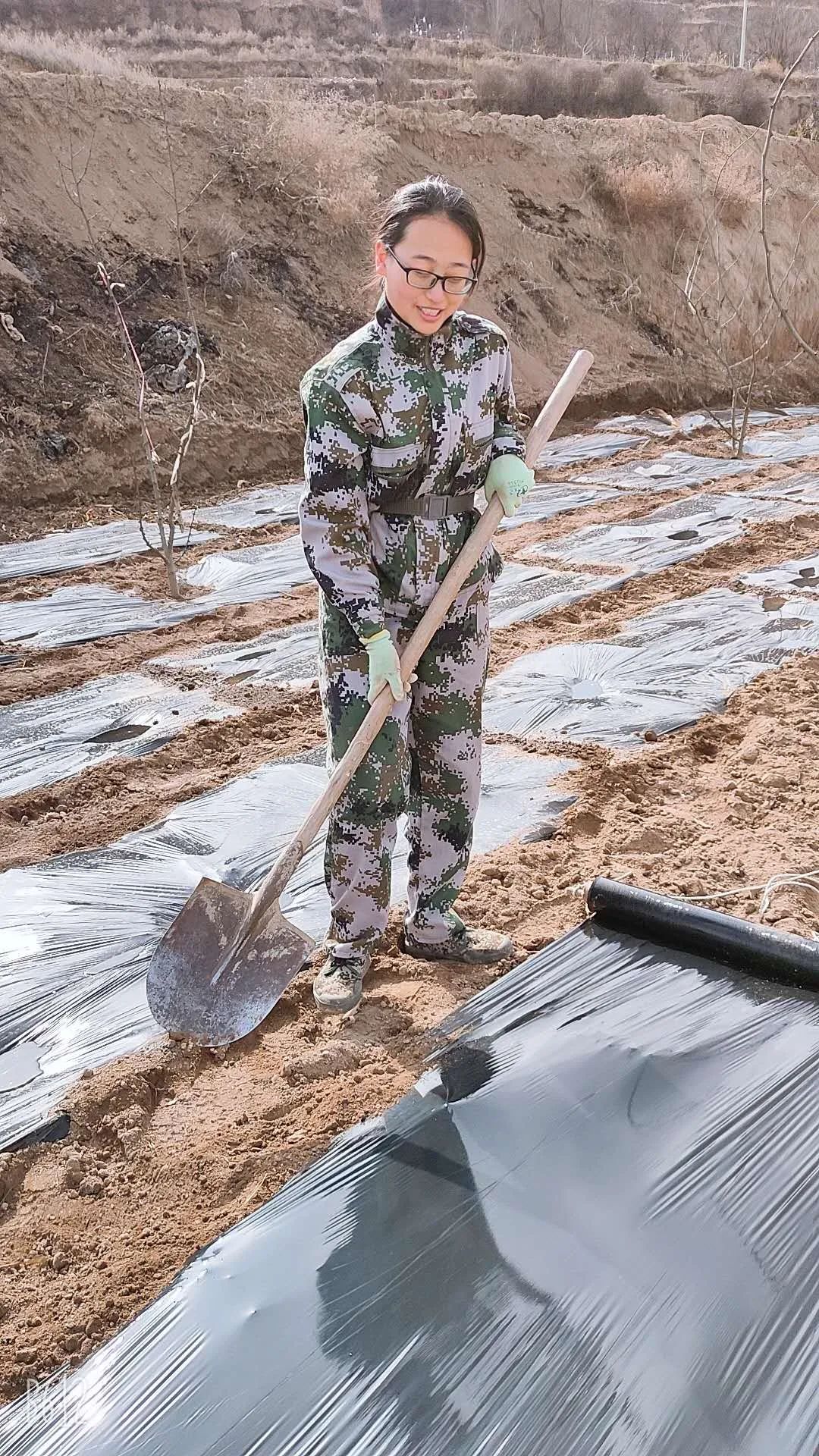 青春微光议论文,青春微光作文