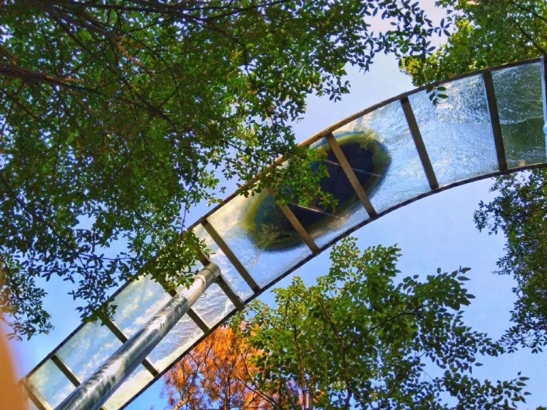 长沙周边踏春游玩最好去处,五一来长沙这些地方让你玩个够