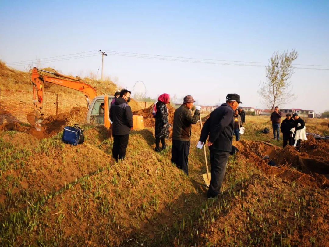 34℃！气温将飙升！│沧州这里将建精品商住项目│郑重提醒：警惕这些公租房*局骗**