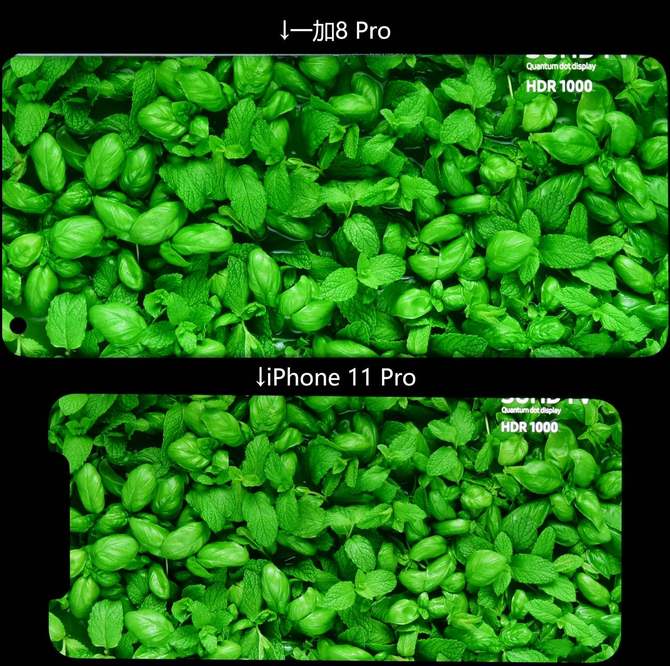 一加8pro屏幕实际体验,一加8pro刷coloros