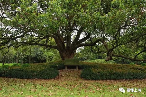 西郊宾馆的历史了解一下,西郊宾馆的历史风景