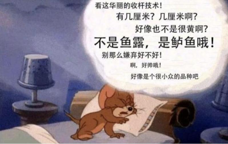 动物森友会玩些什么,动物森友会能2人用一个switch玩么