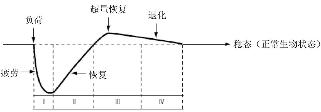 运动训练理论与实践研究方向,运动训练理论可分为哪三个阶段