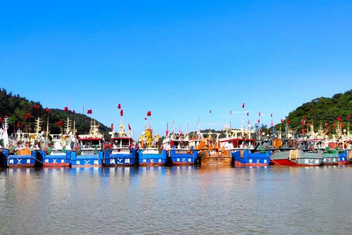 归港休渔！洞头东沙渔港百艘渔船返港