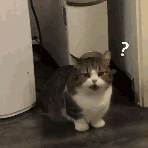 为什么排骨焯水过后煮还是有浮沫,牛排骨焯水后如何去腥