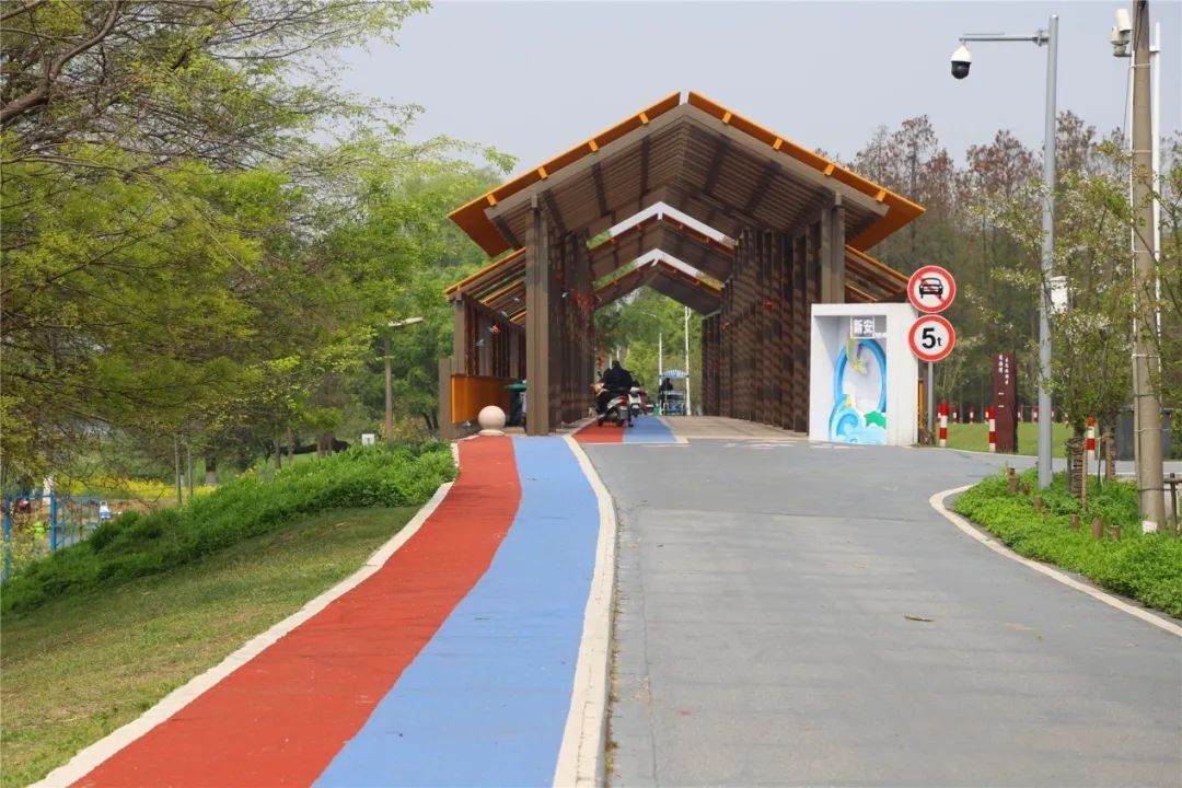 健身步道最新视频,健身走起跟着节奏嗨起来