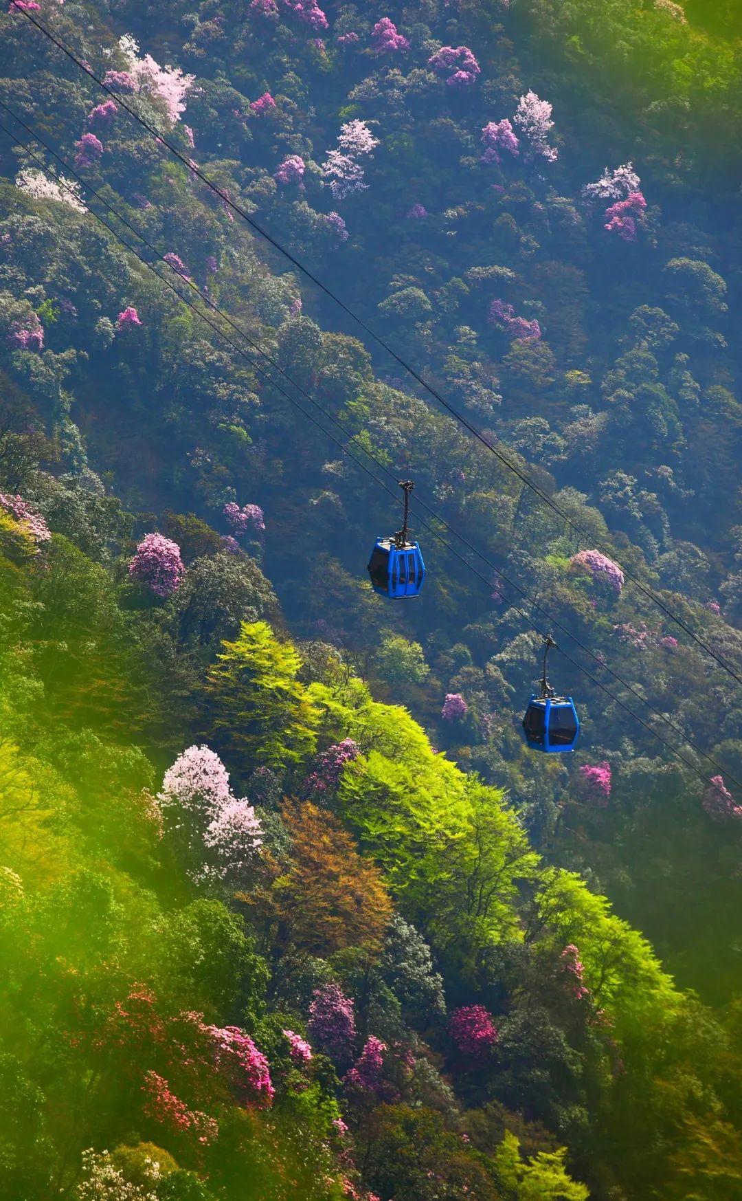 重庆避开人群攻略,重庆周边小众旅游线路