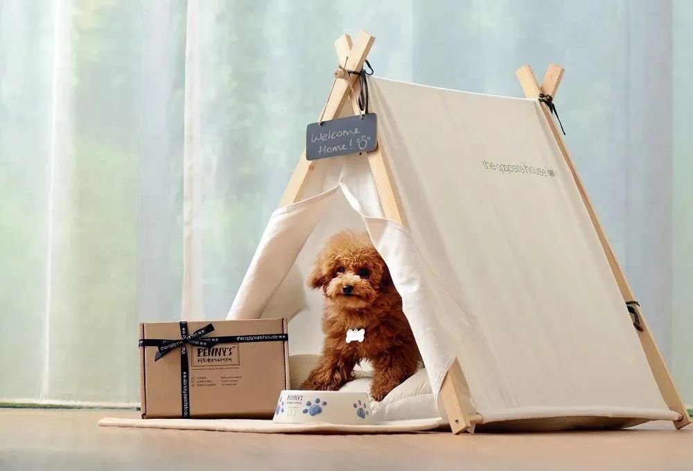 不热不堵人不多,城中开房度假难道不够爽吗?丨寻味