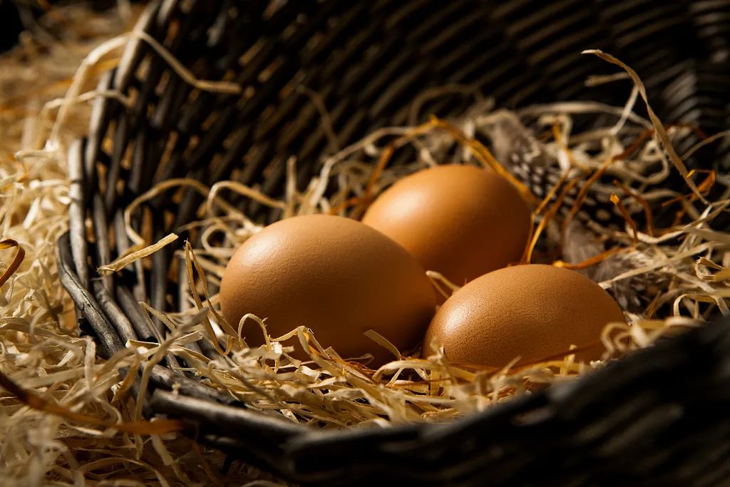 立夏节气英文介绍,二十四节气立夏英文表达