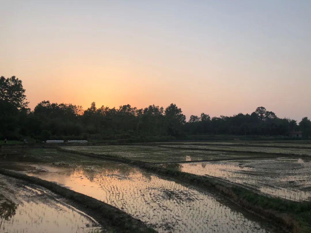 浅谈劳动安全,浅谈劳动教育1600字