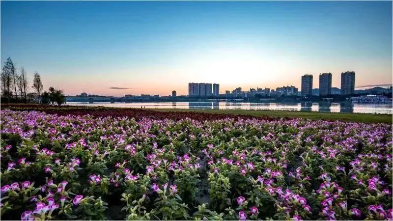 南充纳凉避暑玩水好去处,南充山里天然玩水凉快的地方