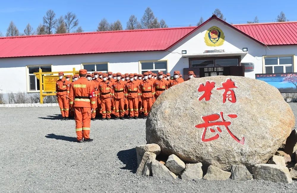 森林防火严防死守,森林防火防控知识