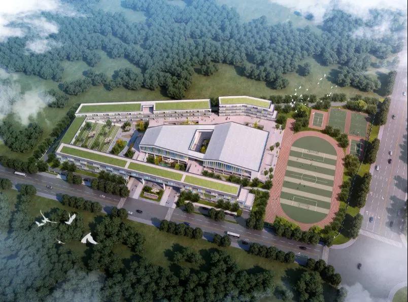 2019年7月20日丽水新闻,丽水新闻快讯