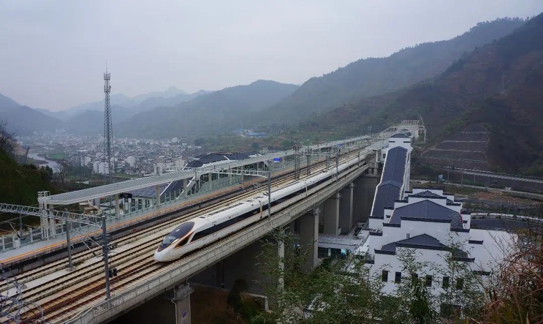 直播卖鸡卖米卖水果和课程，旅行社都在干什么？