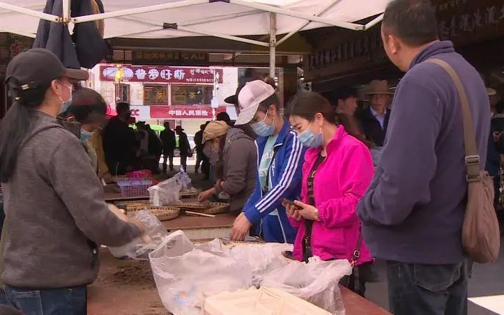 野生新虫草上市,新鲜货虫草
