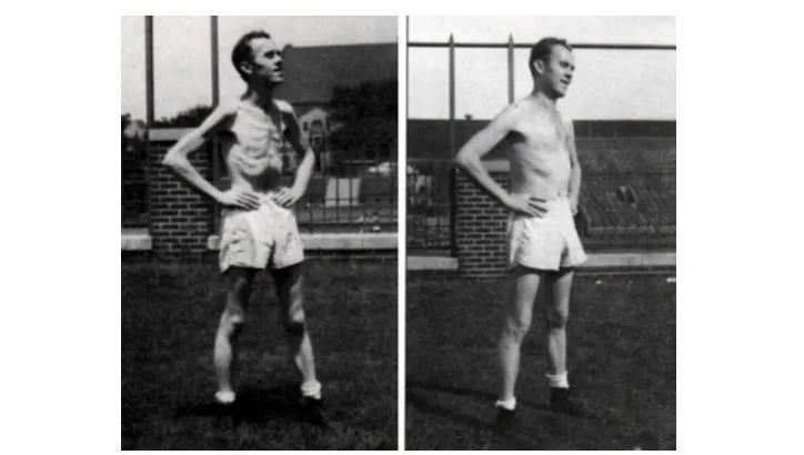 节食减肥饥荒效应,节食减肥饥荒